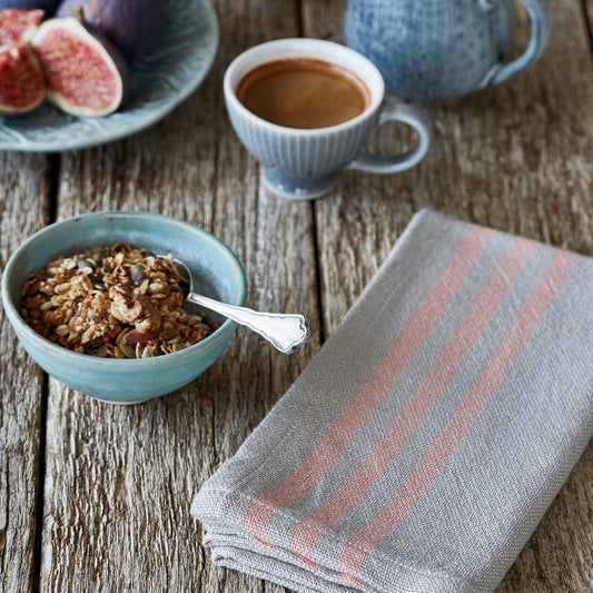 Maxime Linen & Coral Napkins (4 Pack)w