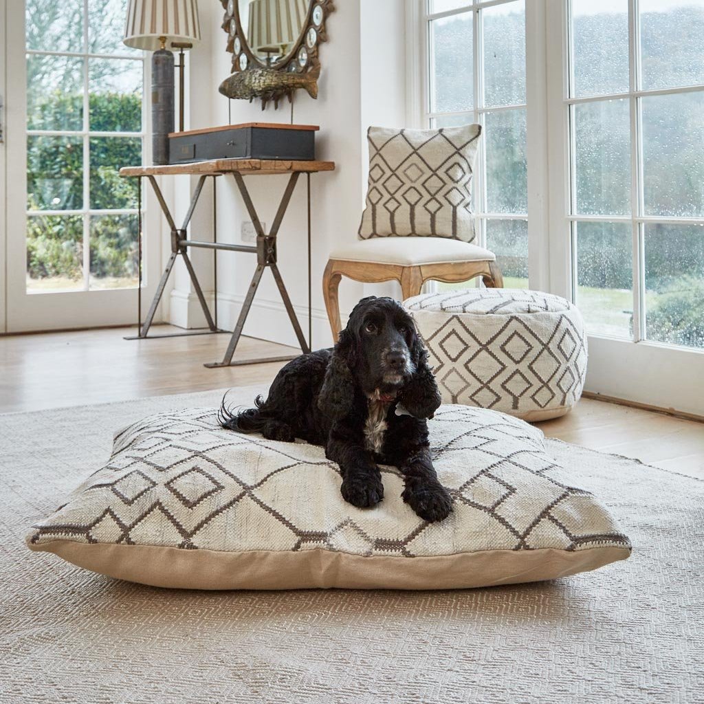 Medina Tangier Floor Cushion used as a dog bed