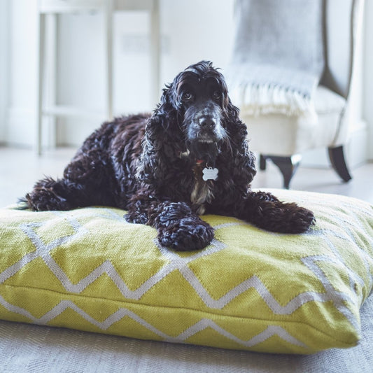 Juno Gooseberry Floor Cushion