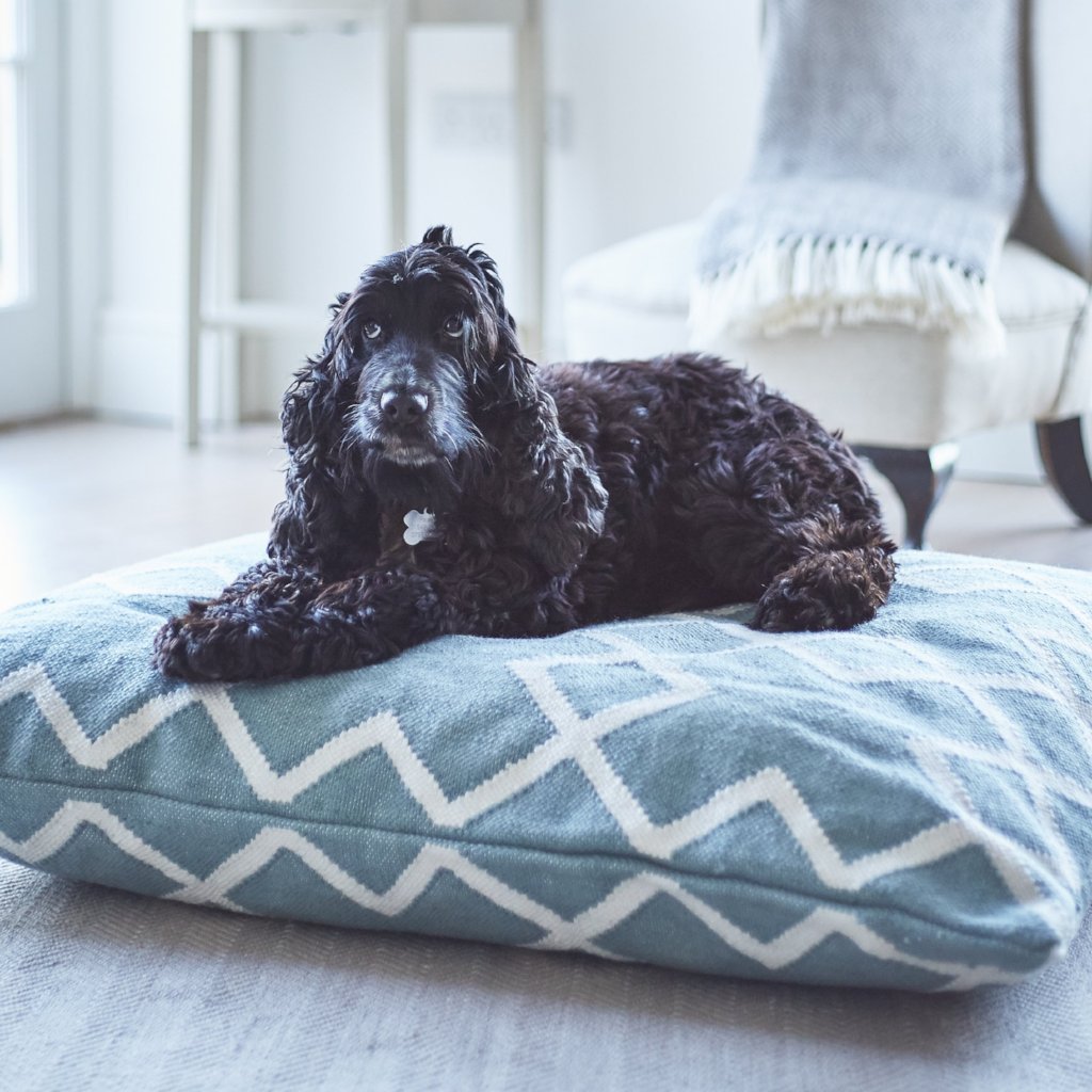 Juno Teal Floor Cushion