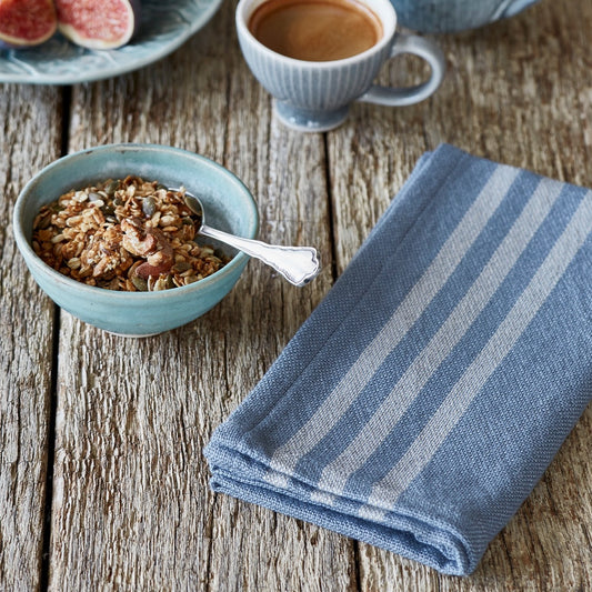 Maxime Blue & Linen Napkins (4 Pack)