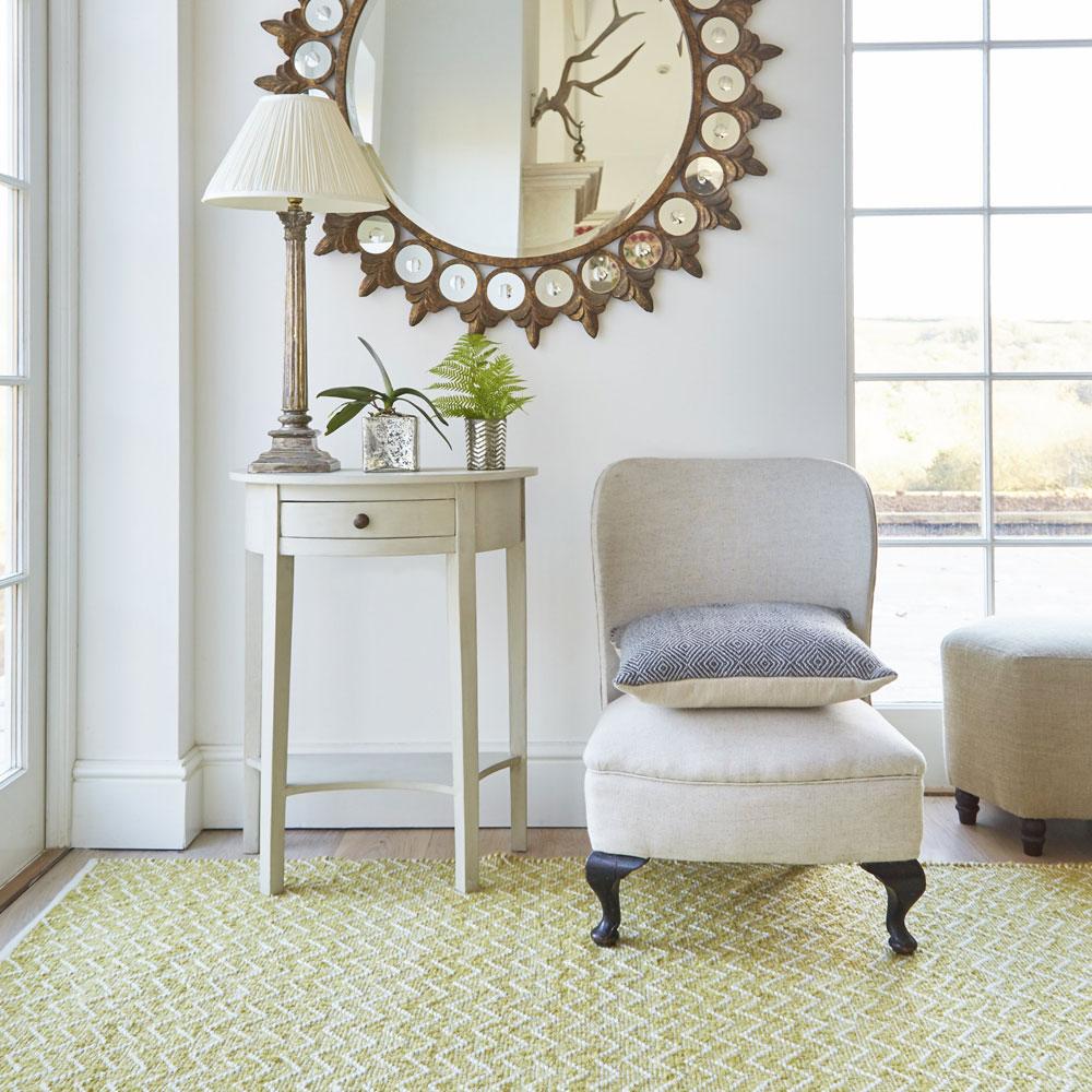 Gooseberry Chenille Rug with chair